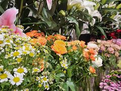 -MCJ-花店(西罗园店)