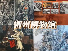 -柳州博物馆