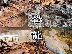 -自贡恐龙博物馆