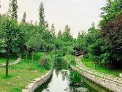-观唐（国际）度假村温泉
