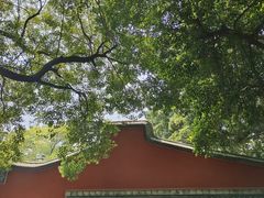 -乌山风景区
