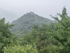 -大岭沟猕猴桃谷风景区