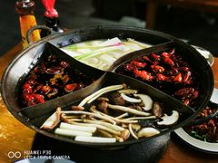 -白乐天毛肚火锅馆(南滨路店)