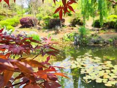 -昆明植物园