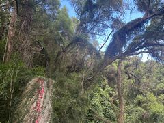 -青芝山风景名胜区