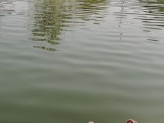 -南翠屏公园