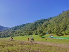 -大水川景区