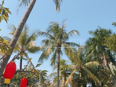 绿化-白沙门生态公园
