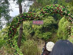 -广东天露山旅游度假区