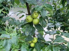 -美家乐农庄·露营·团建(大治路店)