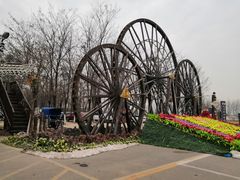 -呀路古热带植物园