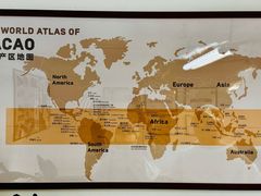 -SANYAY叁言咖啡巧克力