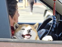 -绿茶餐厅(财富购物中心店)