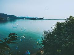 -望湖烤鱼