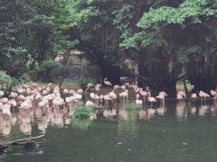 -九龙公园