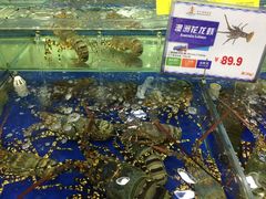-东江海鲜酒家(艺都分店)