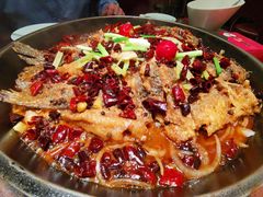 -老板恋上鱼(荣盛广场店)