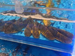 -海底捞火锅(长宁路龙之梦店)