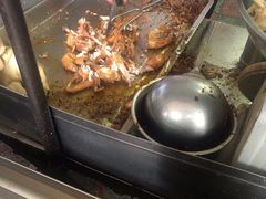 -童子鸡专卖店(中新街店)