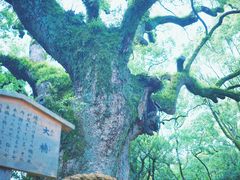 -热田神宫