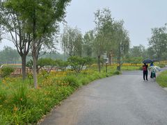 -东郊湿地公园