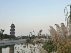 -葛仙湖公园