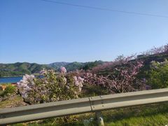 -河口景区