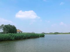 -西青郊野公园