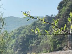 -白河湾生态旅游一条川