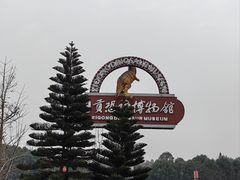 -自贡恐龙博物馆
