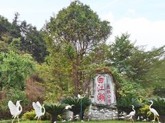 -广州白江湖森林公园