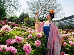 -洛阳市隋唐城遗址植物园