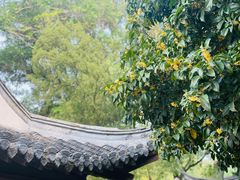 -狼山风景名胜区