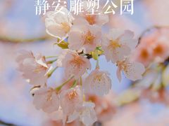 -静安雕塑公园