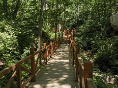 -大岭沟猕猴桃谷风景区