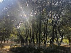 -艾溪湖湿地公园