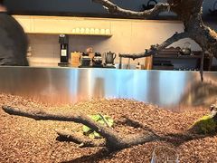 -曲廊院(东四十一条店)