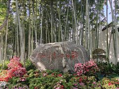 -上海醉白池公园