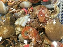 -鲜鲜·鲅鱼圈海鲜(于洪店)