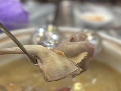 -鸽鸟轩(石岐店)