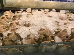 -新海利海鲜城·41年珠海老字号(夏湾店)
