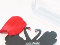 -BLACKSWAN黑天鹅(环球店)