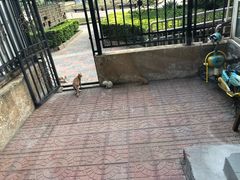 -吃饼人西餐(南开店)