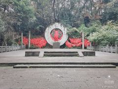 -杭州黄龙洞
