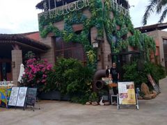 -三亚海昌梦幻海洋不夜城