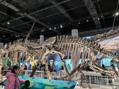 -国家自然博物馆