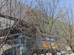 -新荟城(望京店)