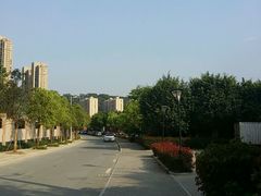 android_upload_pic-琴亭湖公园