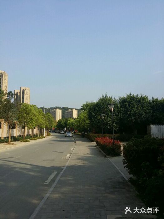 琴亭湖公园android_upload_pic图片