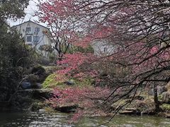 -中国茶叶博物馆(双峰馆区)
